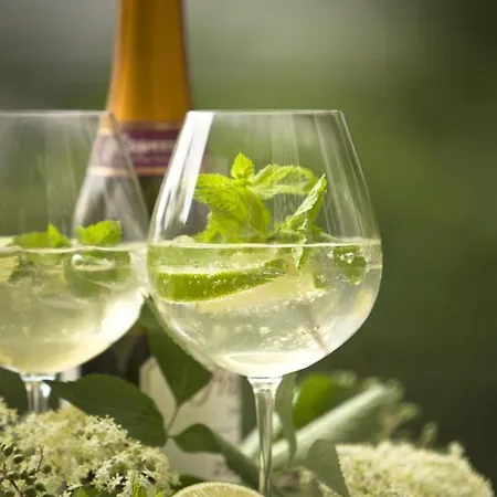 호텔 Pechtl 레르모스