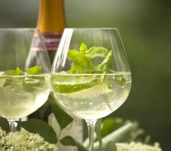 Hotel Pechtl Lermoos